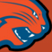 Charlotte Bobcats